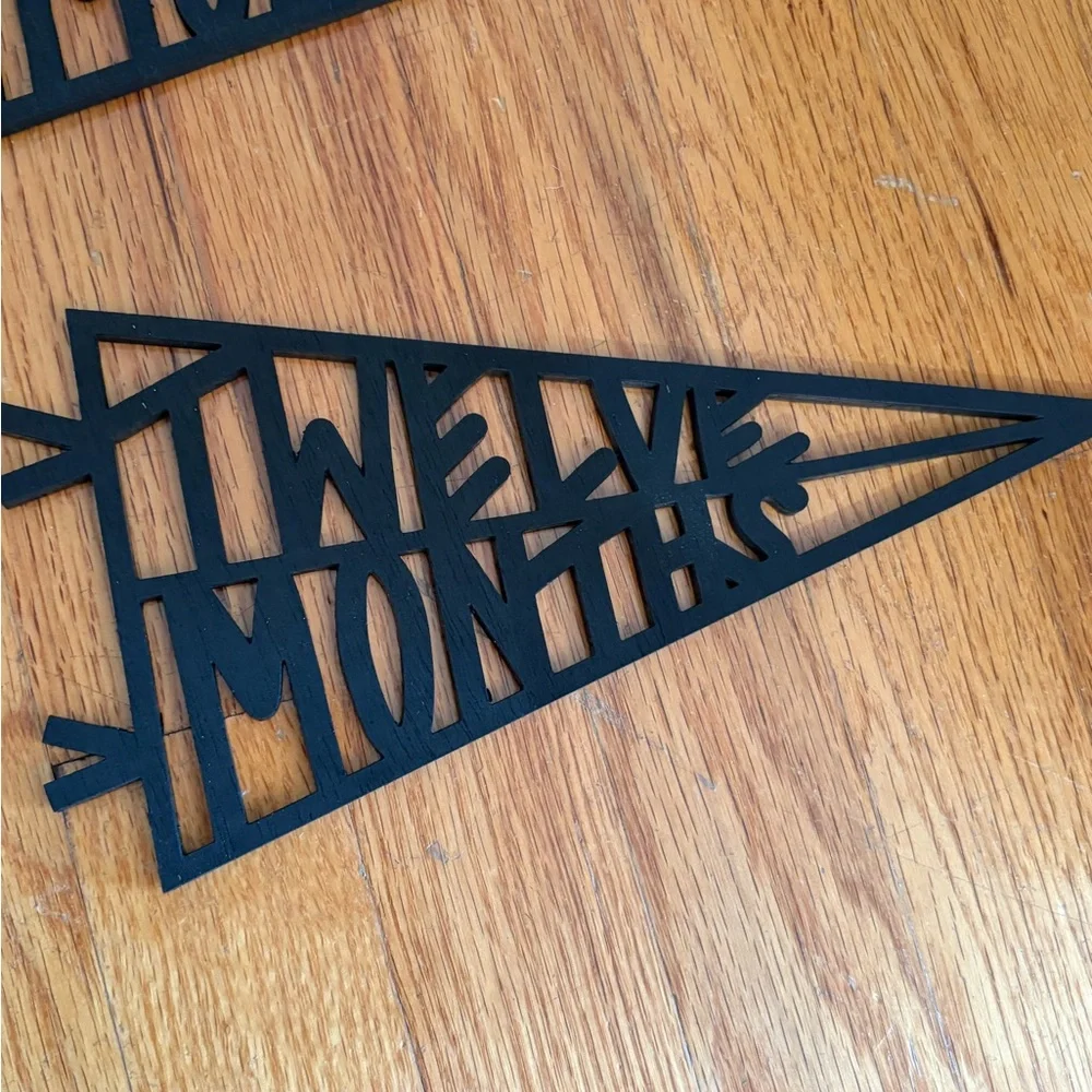 Black Monthly Milestone Pennant Set